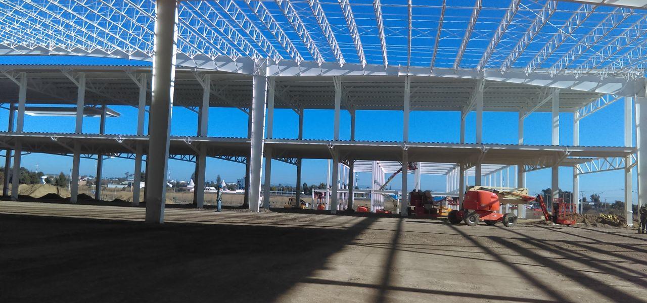 PLANTA TK
